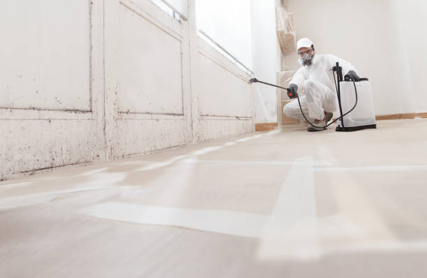 24/7 Emergency Crawl Space Mold Removal experts in Lewisburg, KY